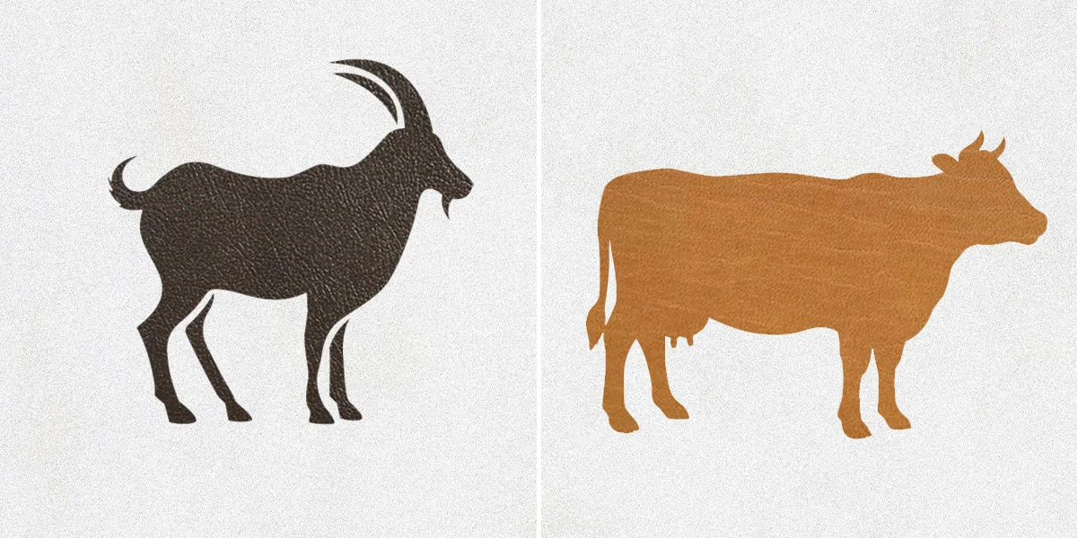 goat leather vs cow leather